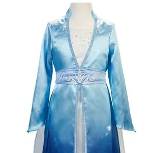 Disney Elsa Costume